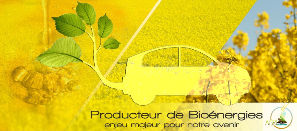 Agri Bio &eacute;nergie , producteur de bio &eacute;nergies &agrave; etreville