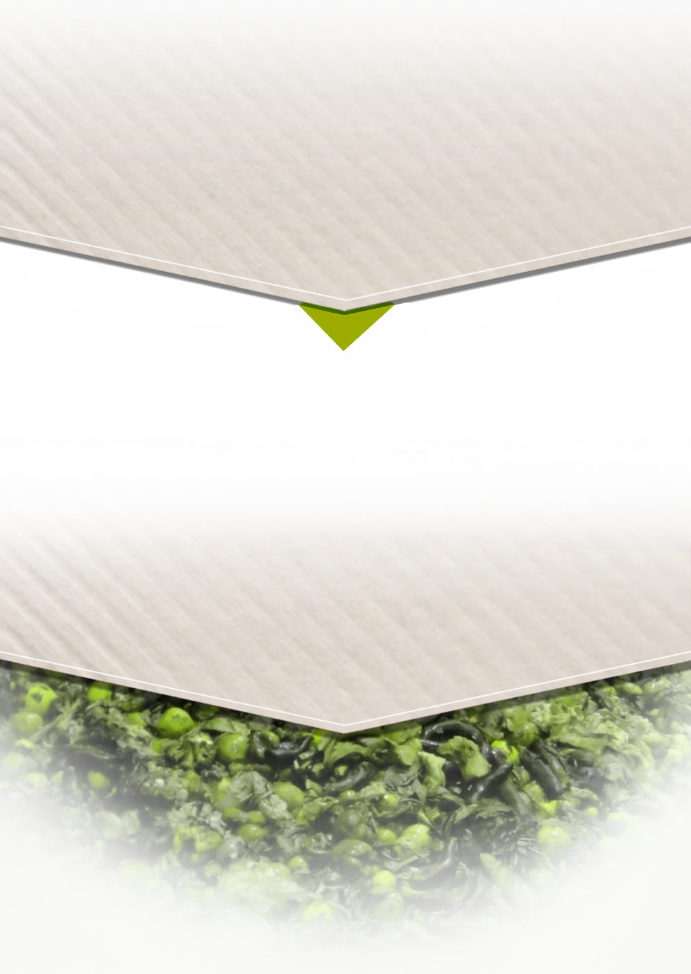 Partenariat pour une gestion optimale et &eacute;cologique des d&eacute;chets valorisables par m&eacute;thanisation en normandie